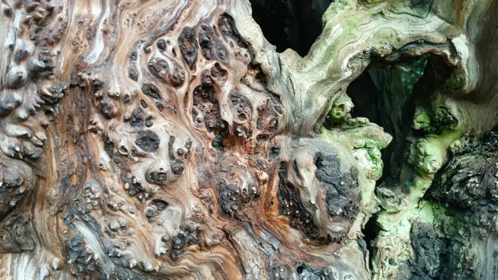 家用保鲜膜生产工艺对比：PVC与PE材质的性能差异与选型指南
